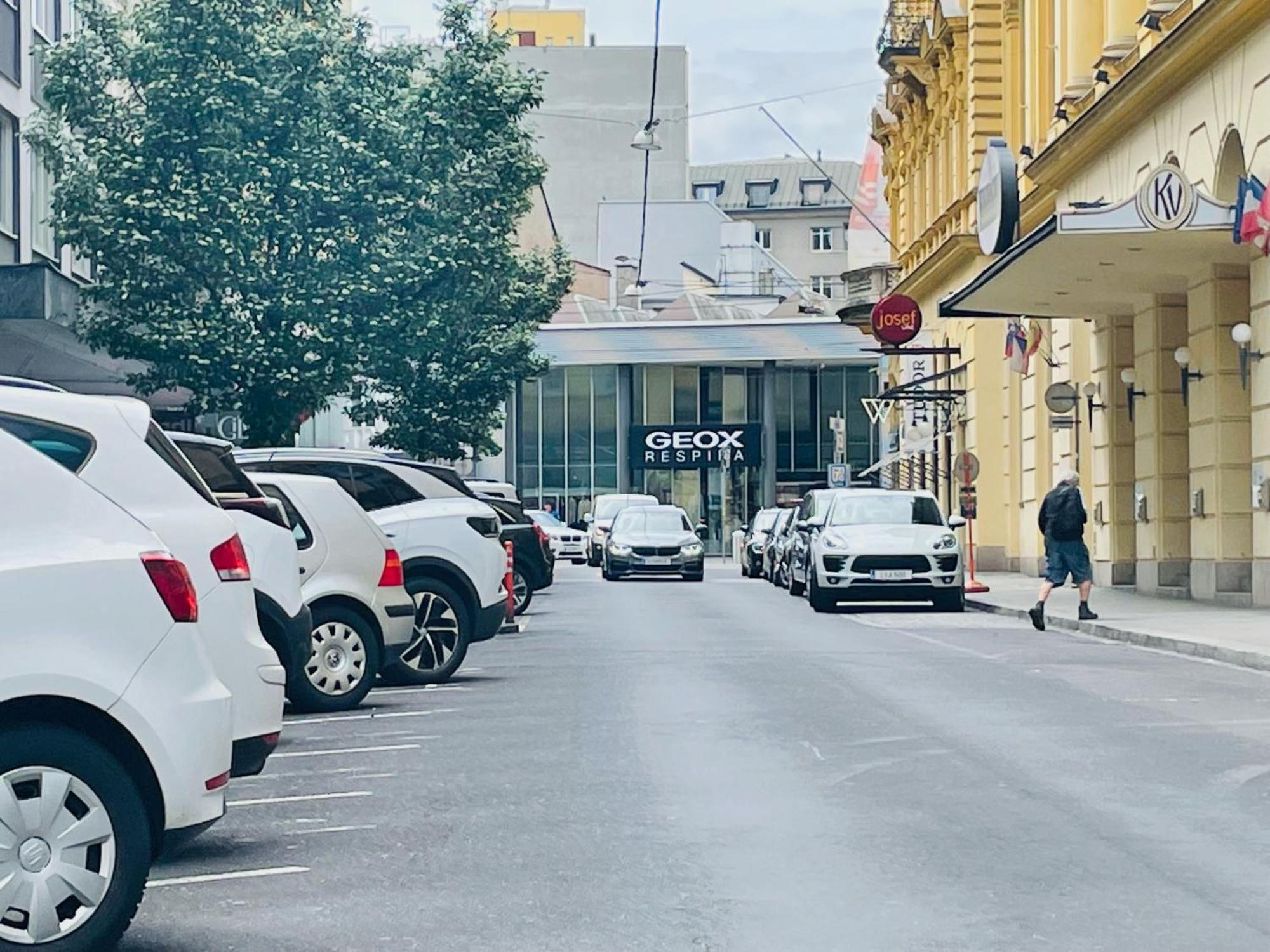 Salon Des Fleurs Linz-Landstrasse Daire Dış mekan fotoğraf
